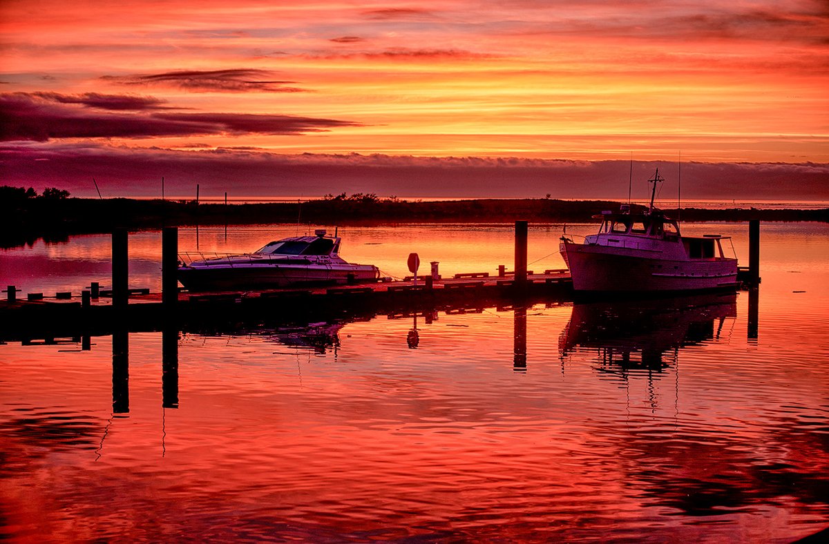 Stephanie Alexandra tweet media