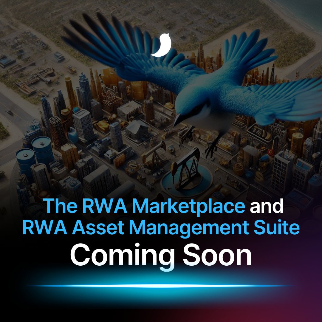 Coming Soon: Real-world Assets Marketplace and Management Suite
📢 We’re proud to unveil our upcoming unified product set for Real-World Assets (RWAs), designed to bridge the gap between traditional assets and the blockchain ecosystem.

🛒 Our RWA Marketplace and Asset Management