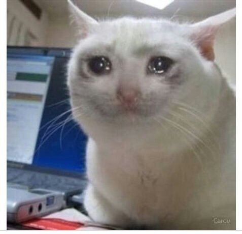 Yo en este momento viendo las historias en ig de las que no dejaron ser espectadoras 🥺