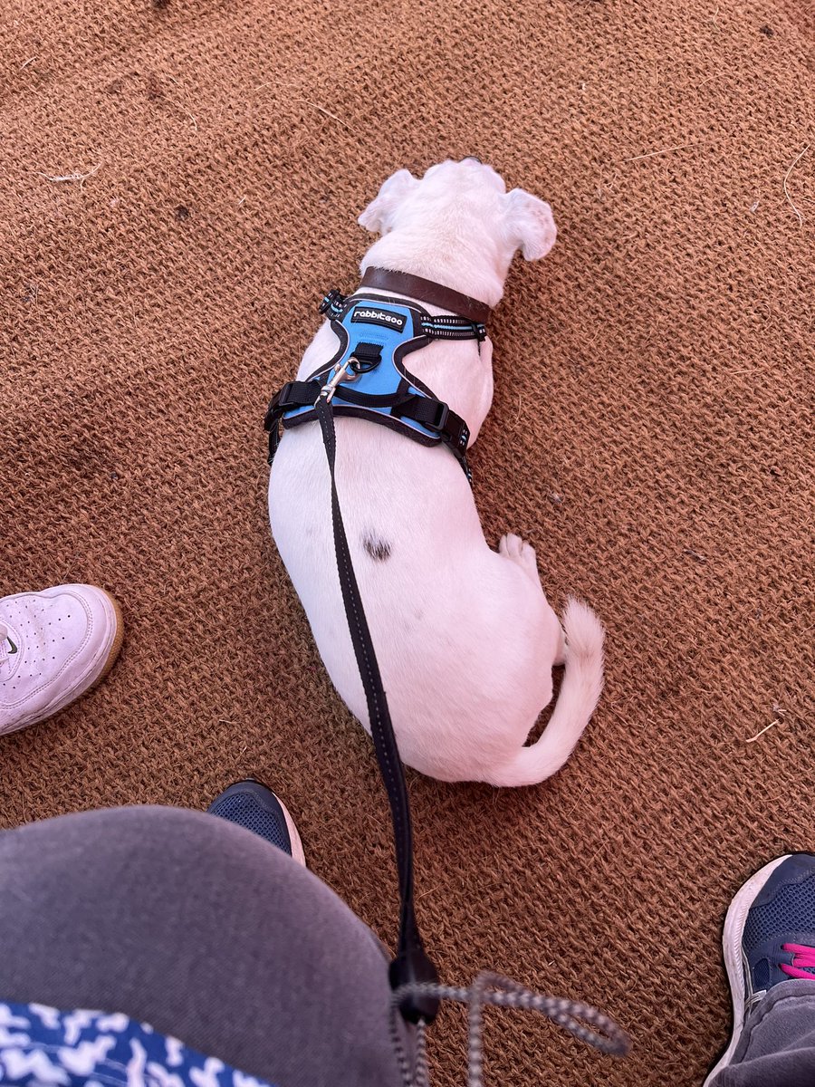 Beth🏴󠁧󠁢󠁳󠁣󠁴󠁿 tweet media