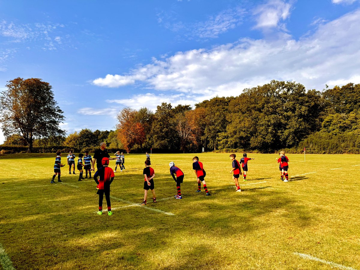 Andrew De Silva tweet media