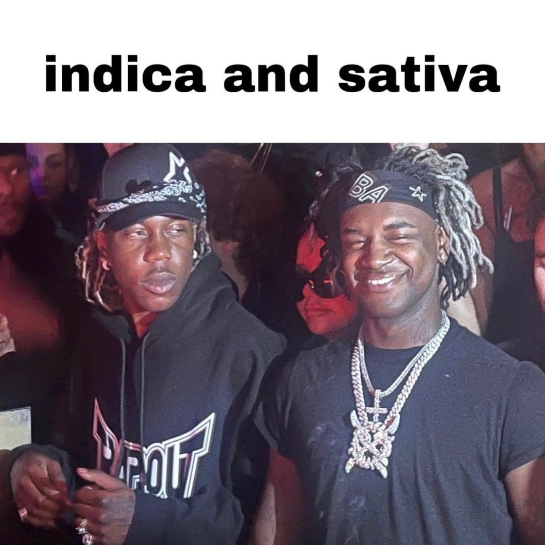 WhiteskinJT's tweet image. 