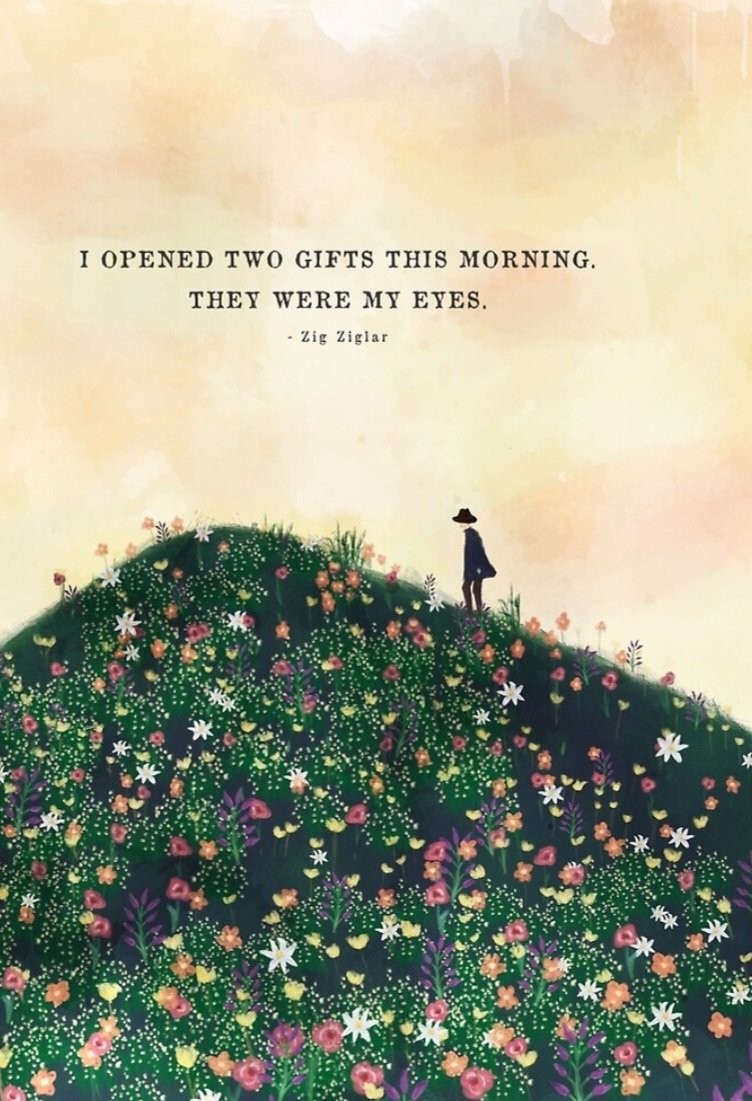 Elizabeth Fournier (@elizfournier) on Twitter photo 