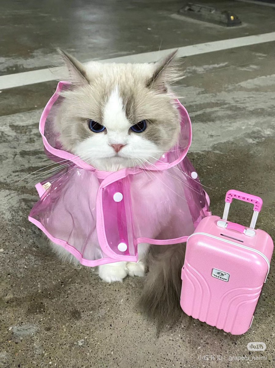 piinkimi_'s tweet photo. ready to go https://t.co/3viuwxEZUi