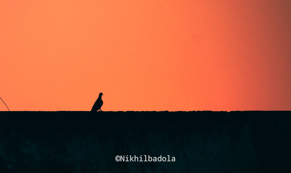 BadolaDlpfan's tweet photo. #sunsetclicks
I tag @3d_india @Himalayologist @ https://t.co/16Do9jjNBr