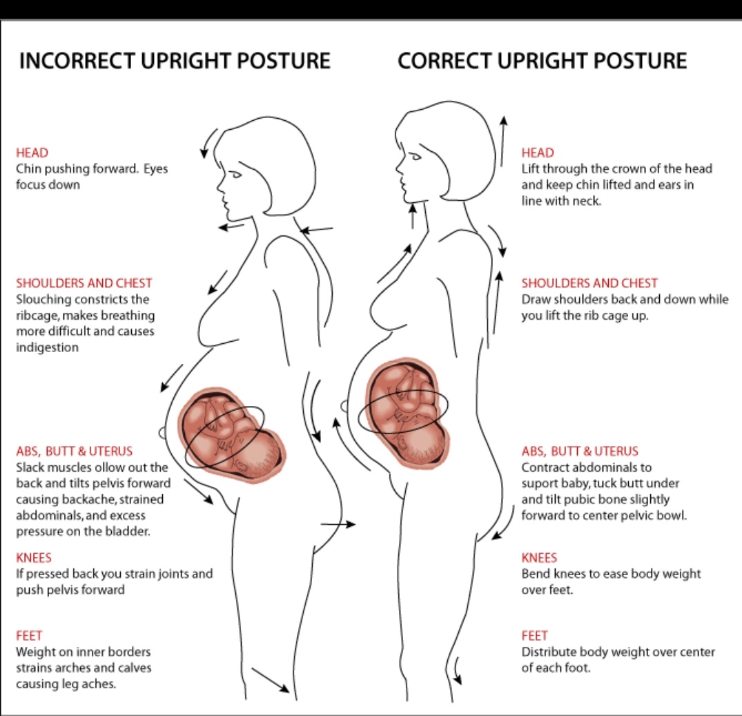 સારી સ્થિતિ(posture ) માં ઉભવું બેસવું અત્યંત અગત્યનું છે ખાસ કરીને ગર્ભાવસ્થા દરમિયાન માતા વ્યવસ્થિત રીતે ઉભે બેસે તો નોર્મલ પ્રસૂતિ માં મદદ મળે છે અને પ્રસૂતિ બાદ થતા વિવિધ દુખાવા માં રાહત અહે છે.<a href="/Dinesha64192780/">DINESH ACHARYA</a>
<a href="/DrSanketMehta1/">Dr.Sanket Mehta</a> <a href="/dr_rahulsinh/">Dr. Rahulsinh Parmar</a> <a href="/GGPA17/">GGPA</a>