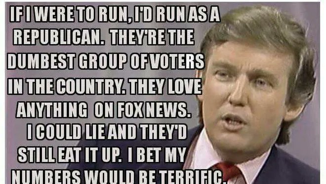 DonnaLGreen1's tweet photo. Poor, desperate, deplorable,  cheating, lying GOP. Can you please provide a list of your candidates' crimes? I mean, his larceny, I mean his achievements?

I'll start https://t.co/FsX1tipqjh