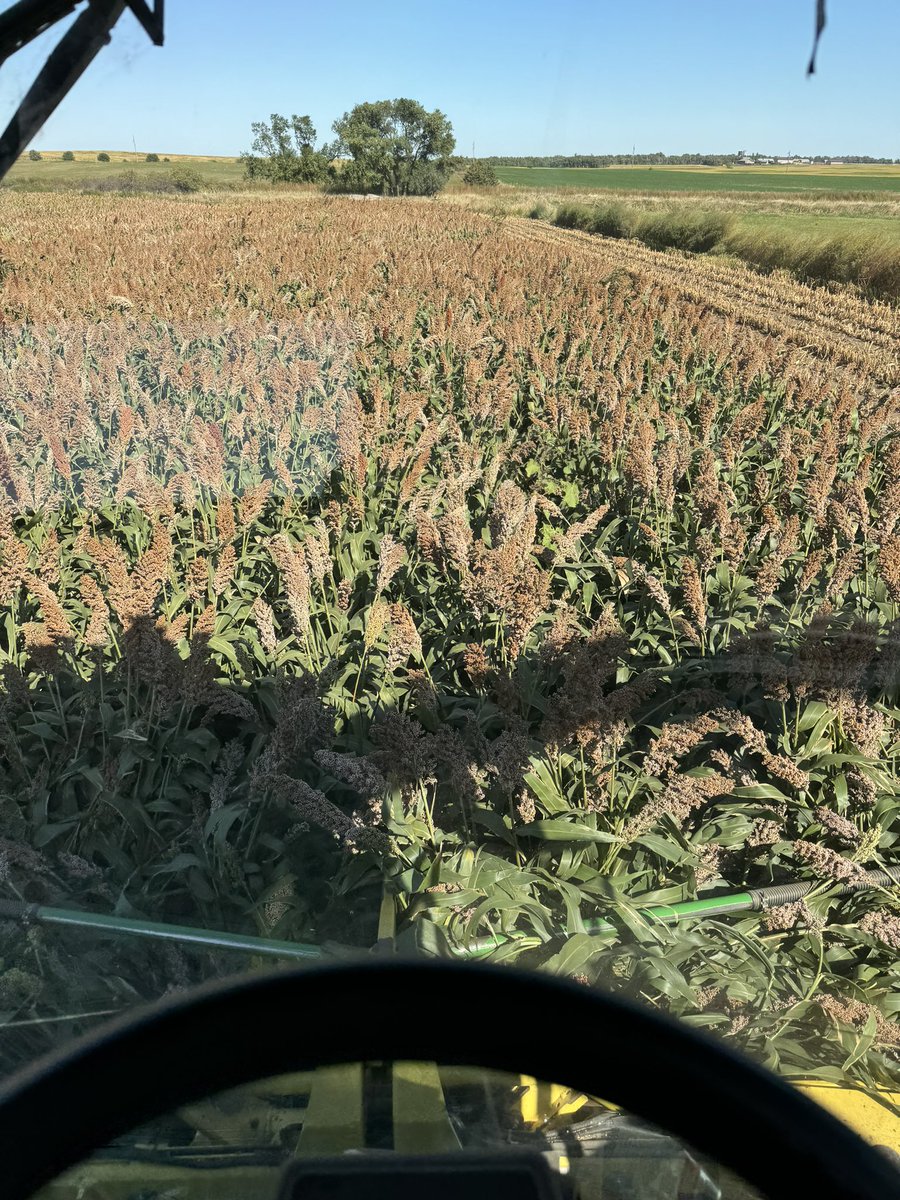 Tales from the Feedyard (Uncensored) tweet media