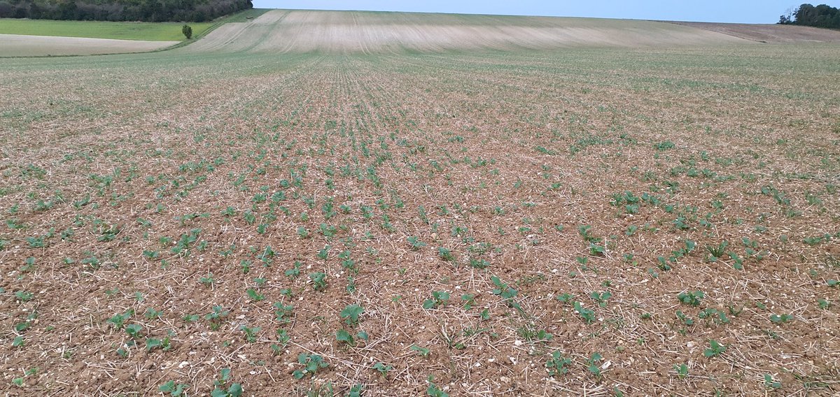 legendre christophe tweet media