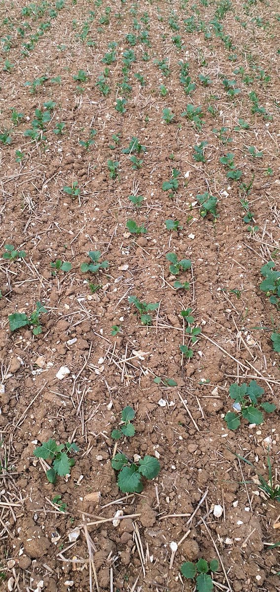 legendre christophe tweet media