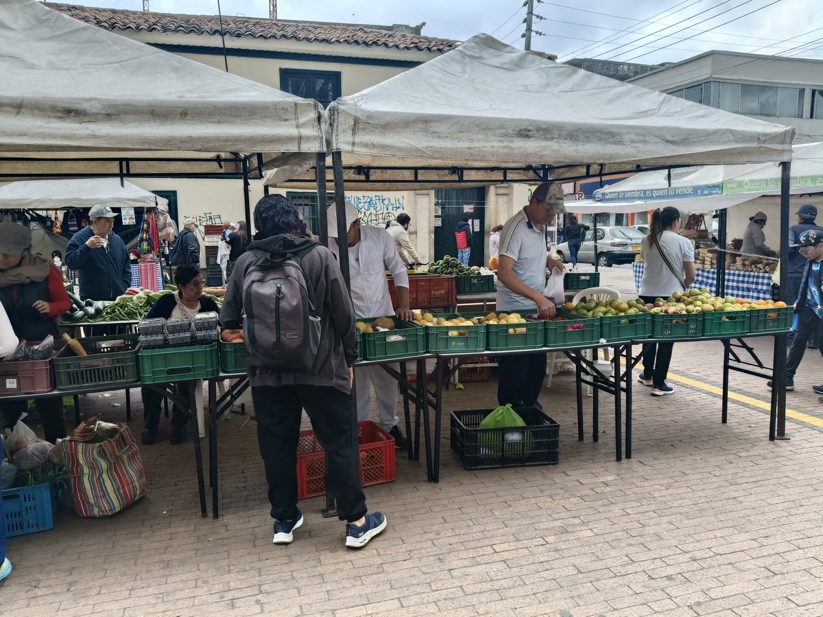 mdoscampesinos's tweet photo. Parque Fundacional de Fontibón, AGROCOMUNAL, lidera MERCADO CAMPESINO cada sábado..

21 de septiembre 2024 

#QuienLoSiembraLoVende 

Apoyan @UsolidariaCo
@Fontibon_Bogota
@DesarrolloBta 

#LlevoElCampo #ElDeVerdad #CiudadaníaAlimentaria #CeroPlastico #Colombiacontraelhambre https://t.co/hEOCRbO6Je