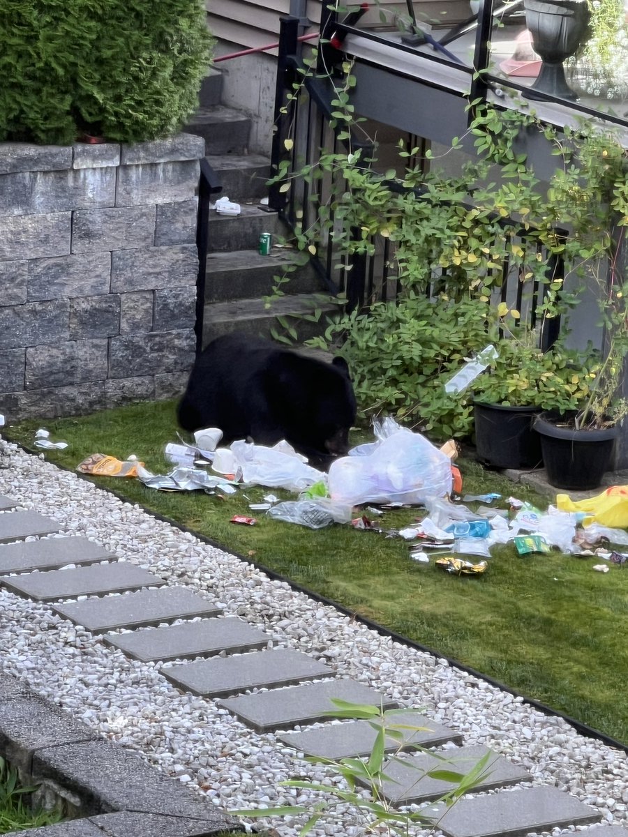 RIP our neighbors garbage.