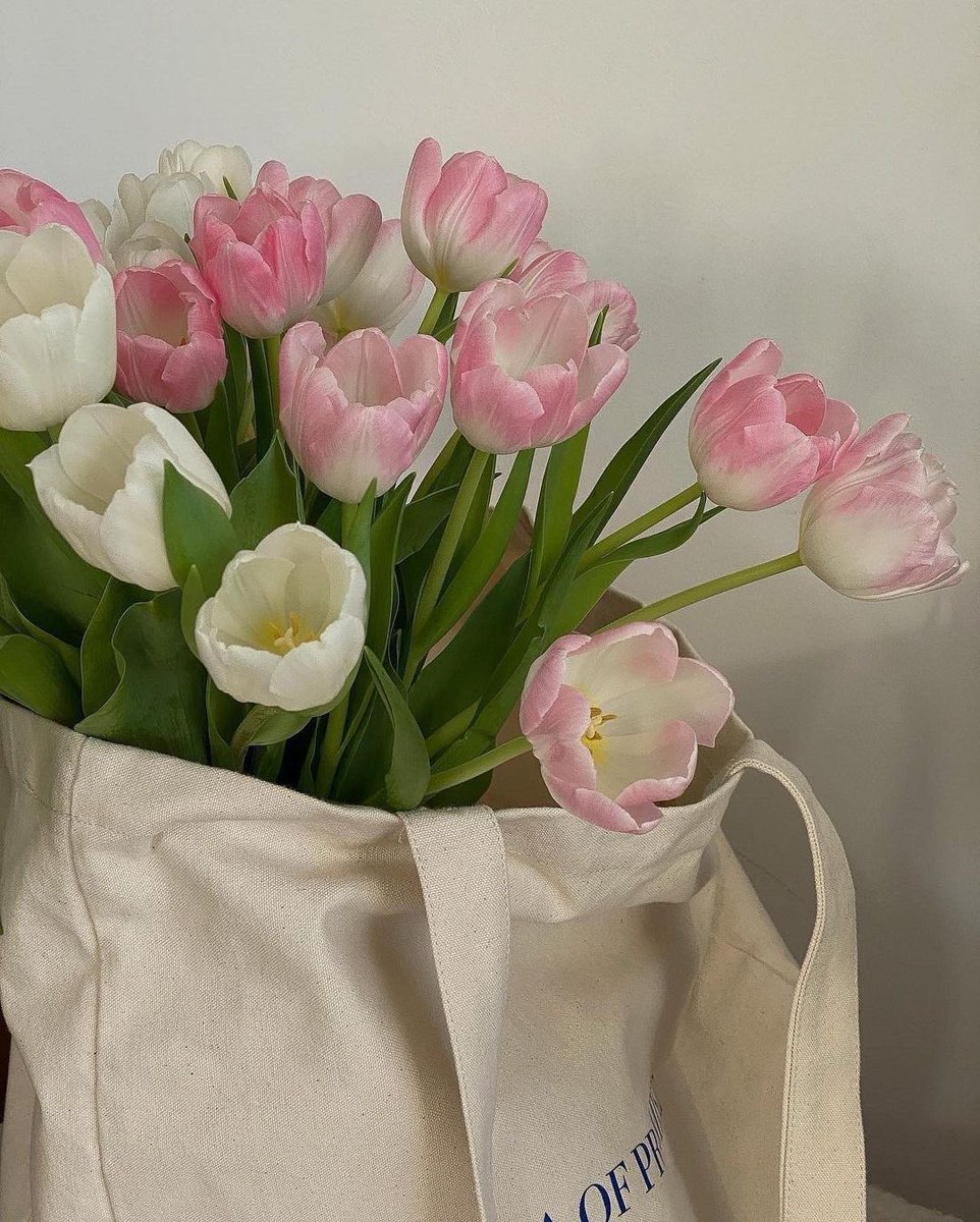 "نَتحوّل إلىٰ فَراشات حِينَ يُهدىٰ لنا غُصن وَرد 🪷".