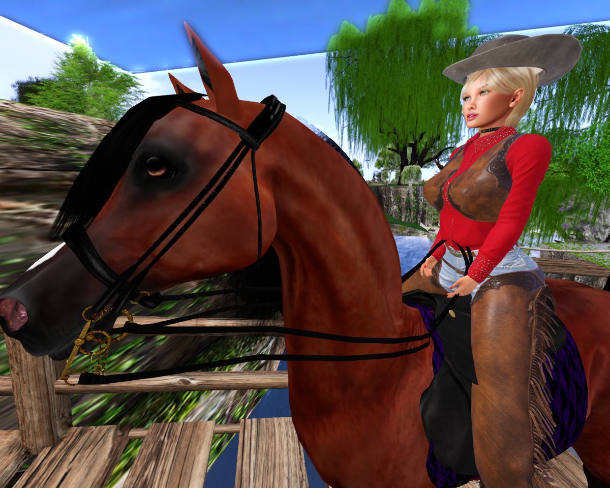 Salt and Pepper Western Rider