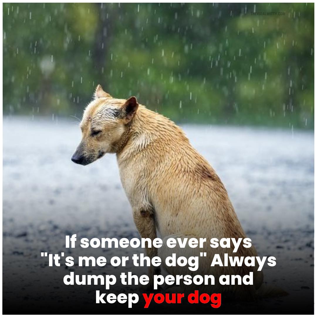 _XDogs's tweet photo. https://t.co/9qakQVctKS
