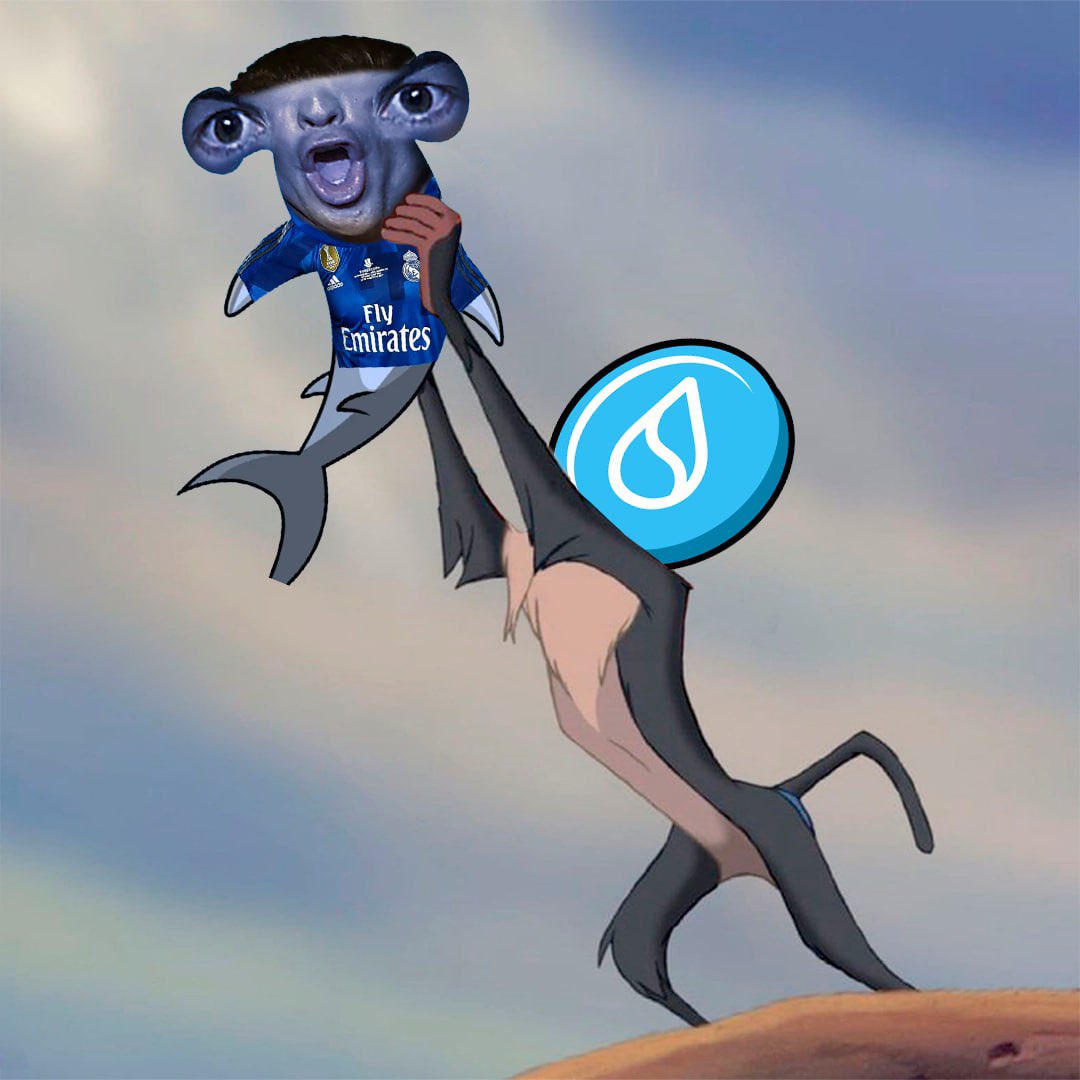 SiuTheShark's tweet photo. Still the king of the Sui ocean

$SIU https://t.co/WUNmzmWCQn
