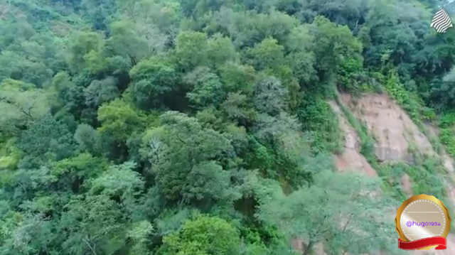 Maria Susana tweet media