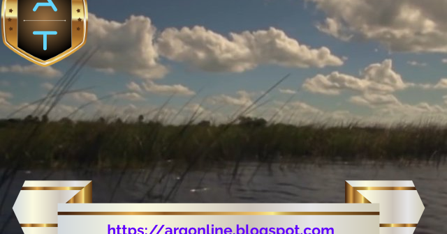 Maria Susana tweet media