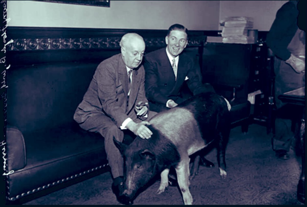 Take me back to Iowa City, boys!
@gohawks <a href="/IOWAfootball101/">Iowa Football Fan</a> @iowafootball @woundedwalkons @scratchwhereititches