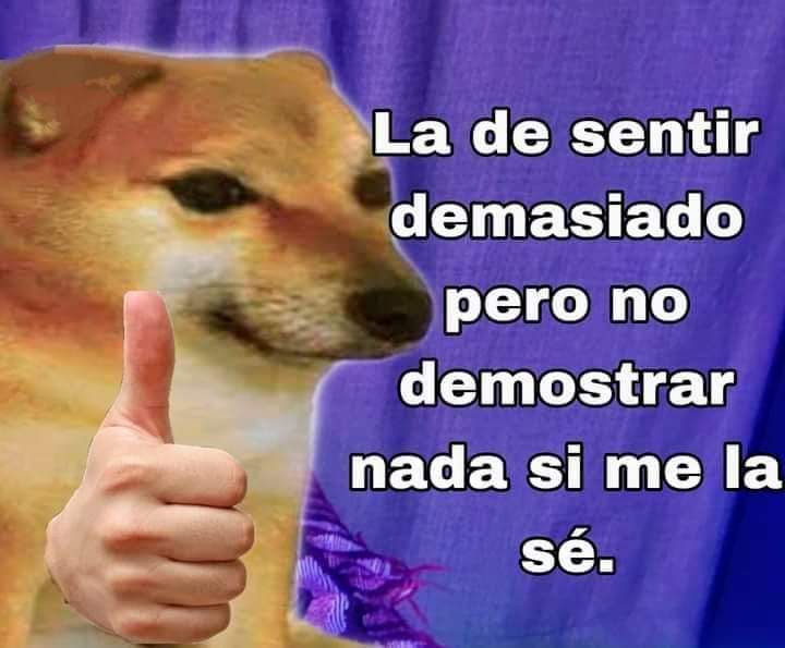 Lonely🥀 tweet media