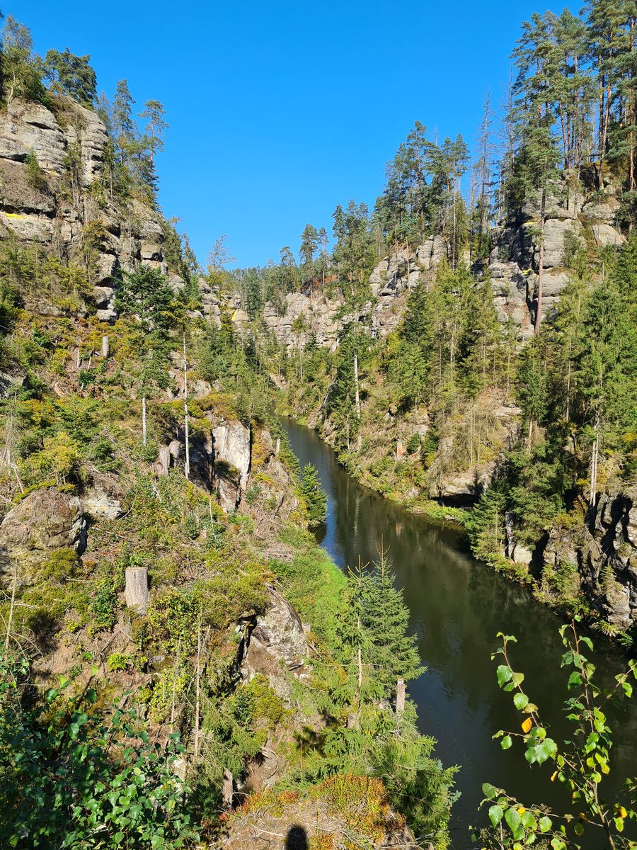 Doreen Reinhard tweet media