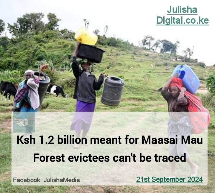 When are we having the holiday to plant trees to enable more moneys to the few pockets?