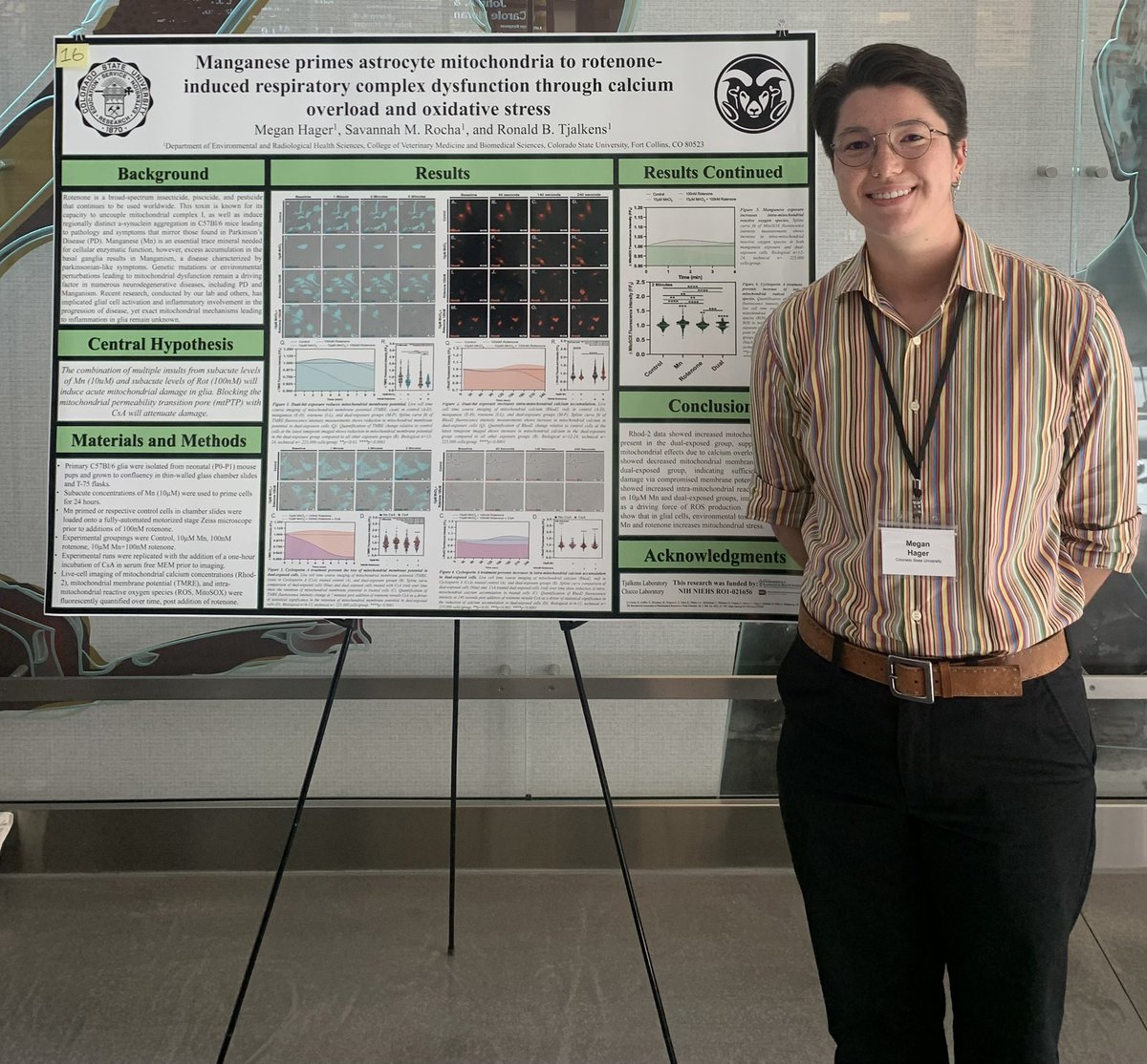 Adam Schuller tweet media