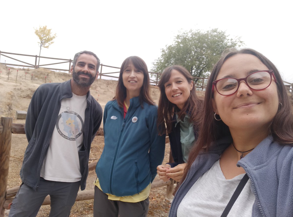 Se acabó la campaña 2024 🥺

A pesar de que la lluvia nos ha hecho terminar dos días antes de lo previsto hemos tenido una gran campaña. Muchas gracias a todas y todos los que habéis venido a excavar 🐘🦴
#SOMO24

Última entrada de esta campaña: investigacionensomosaguas.blogspot.com/2024/09/fin-de…
