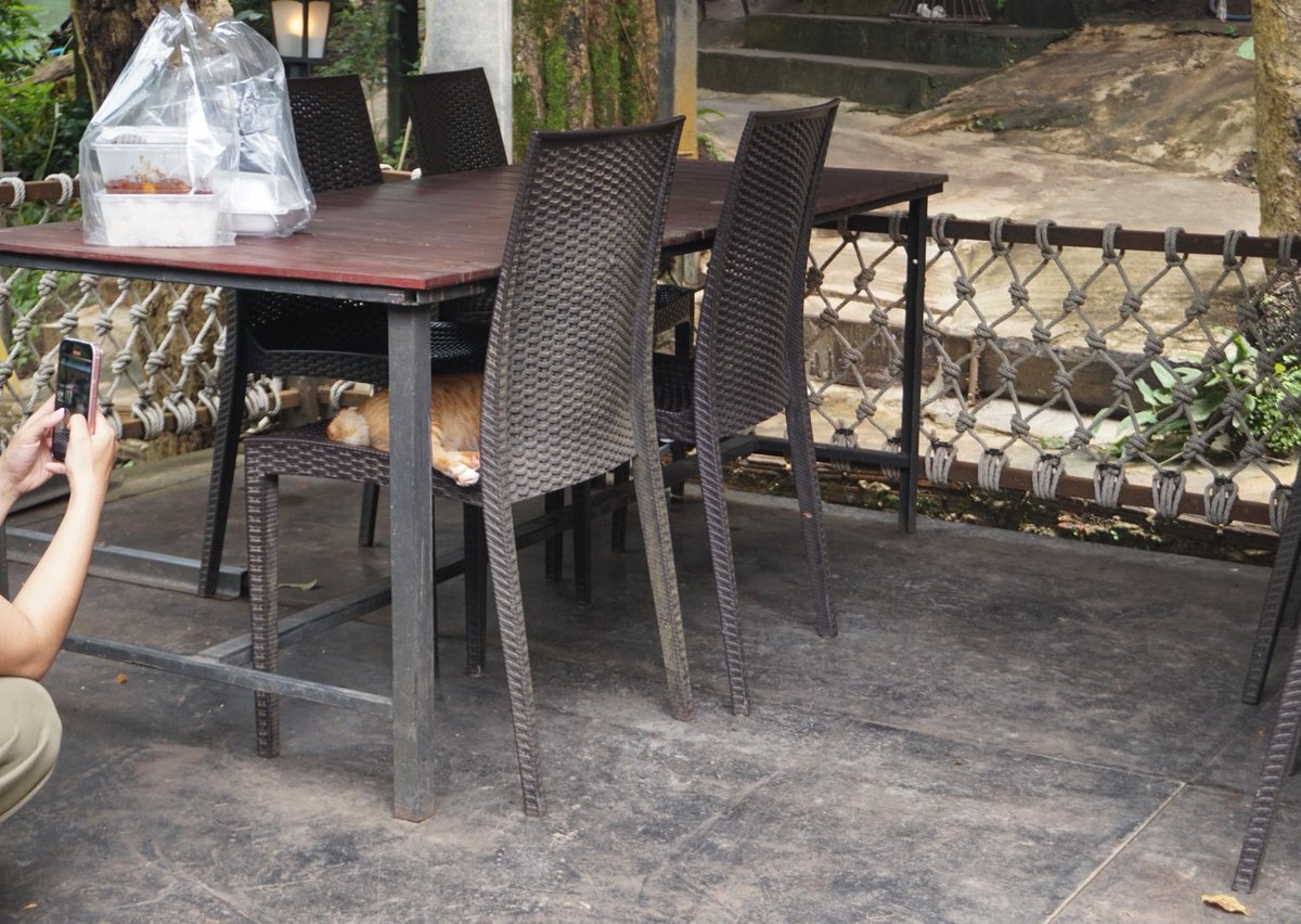 wn (@wannam0_) on Twitter photo 