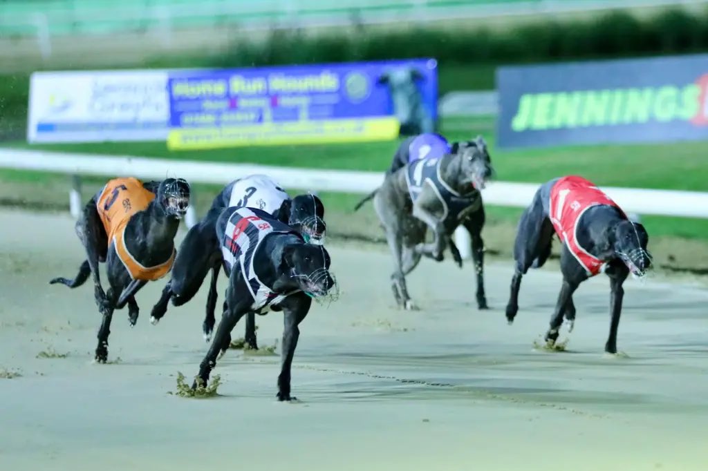 2025 Derby fav March On Freddie clocks slick 28.54sec over 491m at Central Park 🔥 

Track record: 28.83 😳

Other notables:
Churchfield Syd 29.32
Uncle Freddie 29.02
Keylogues Runner 29.09

New traps installed yesterday, track reportedly running approx 20 spots fast 💨