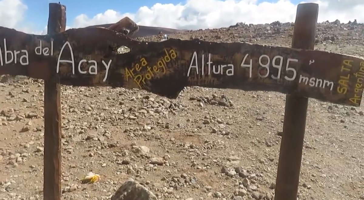 Maria Susana tweet media