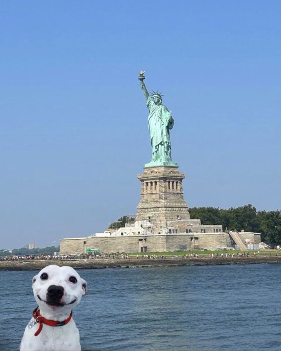 PhilSledge's tweet image. Check out this amazing selfie!