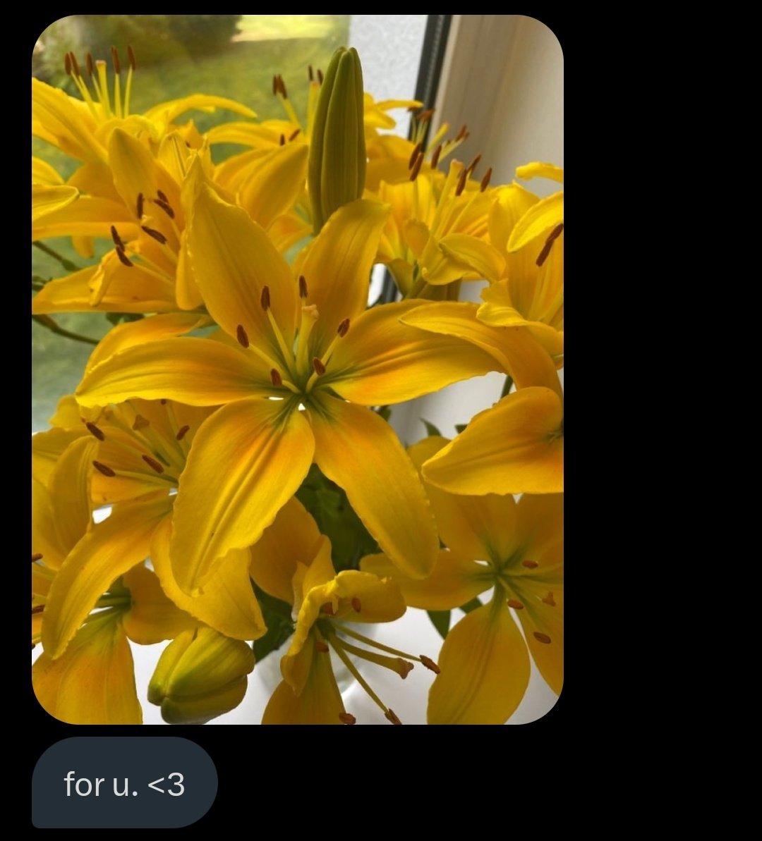 i love my boyfriend.