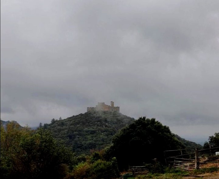 Castell de Requesens
#serradelalbera