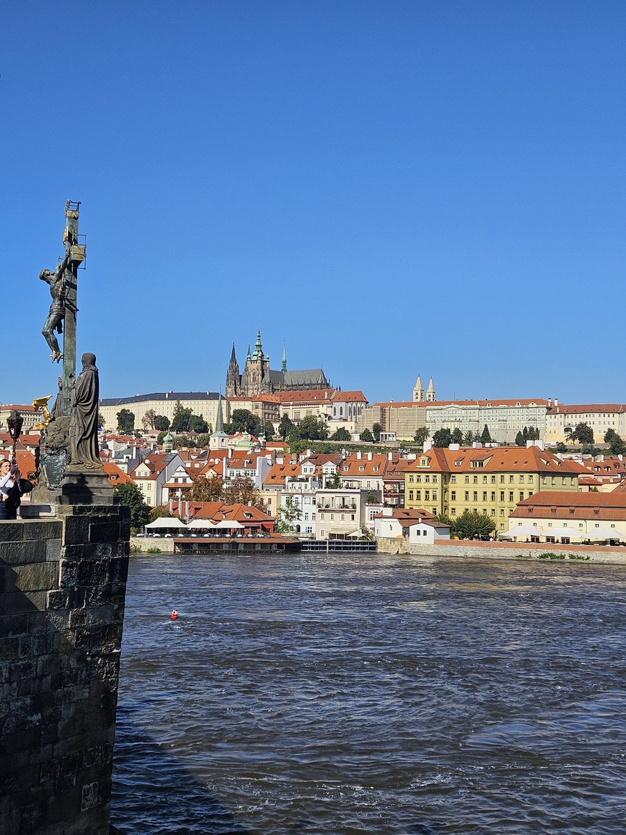 Amy 🌎 tweet media