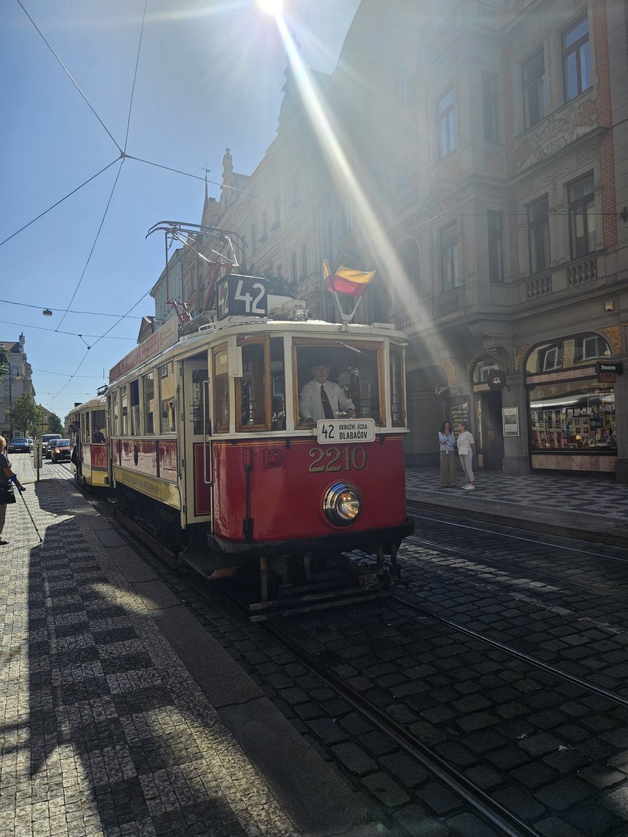 Amy 🌎 tweet media