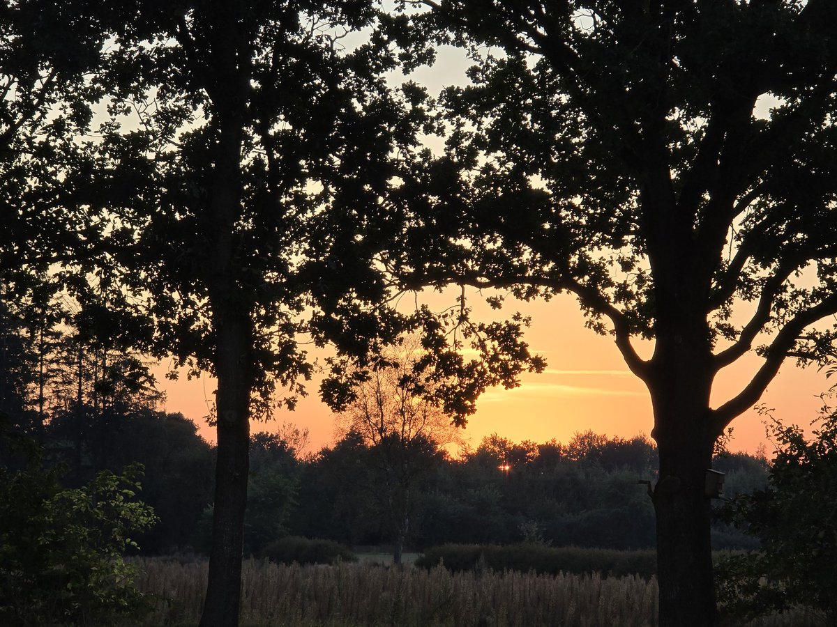 WendtLydia's tweet photo. #sunset #beautiful #nature #nofilter 📸 🧡 https://t.co/oEQGO0m1gj