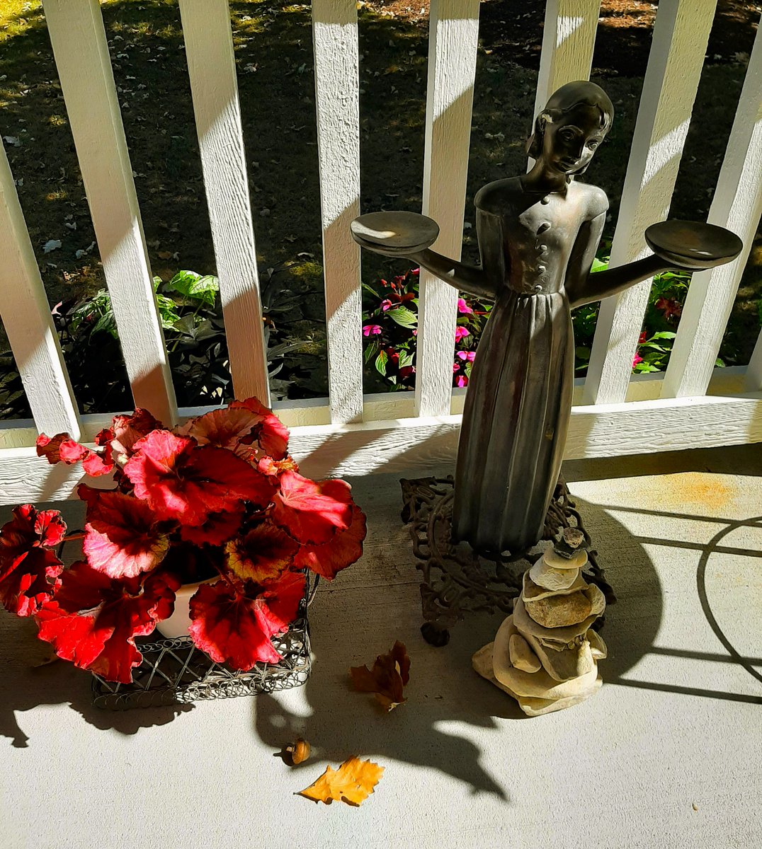 Paradoxpoet11's tweet photo. Immersed in hues
of scarlet in sunlight..

~cw #in7 🍁📷 https://t.co/8ZBWOPpLKV