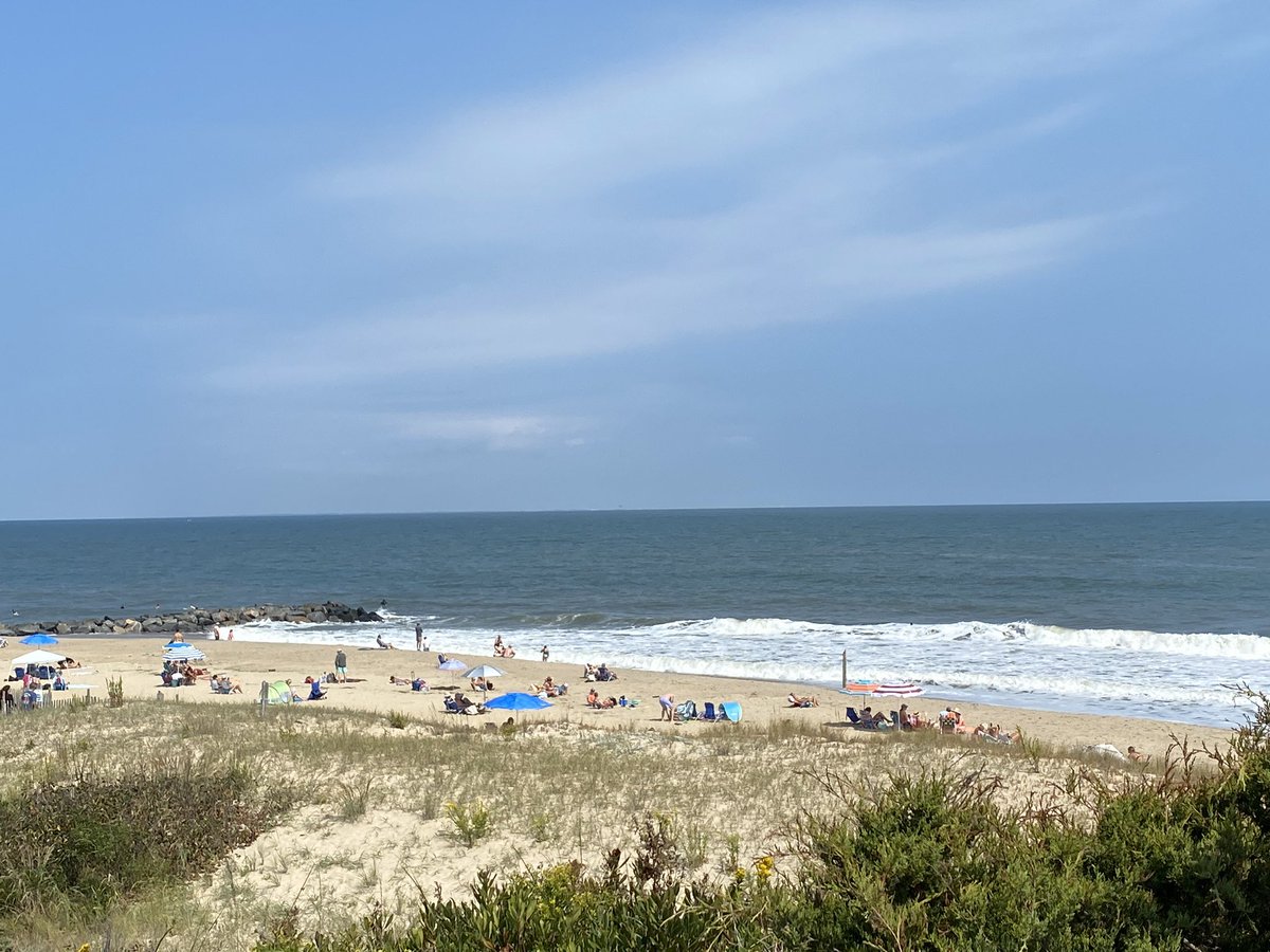 FineAgain2020's tweet photo. Beautiful day to be outside
#delawarebeaches
#statepark
#gooutside
#localsummer https://t.co/QsNlDqZjFy