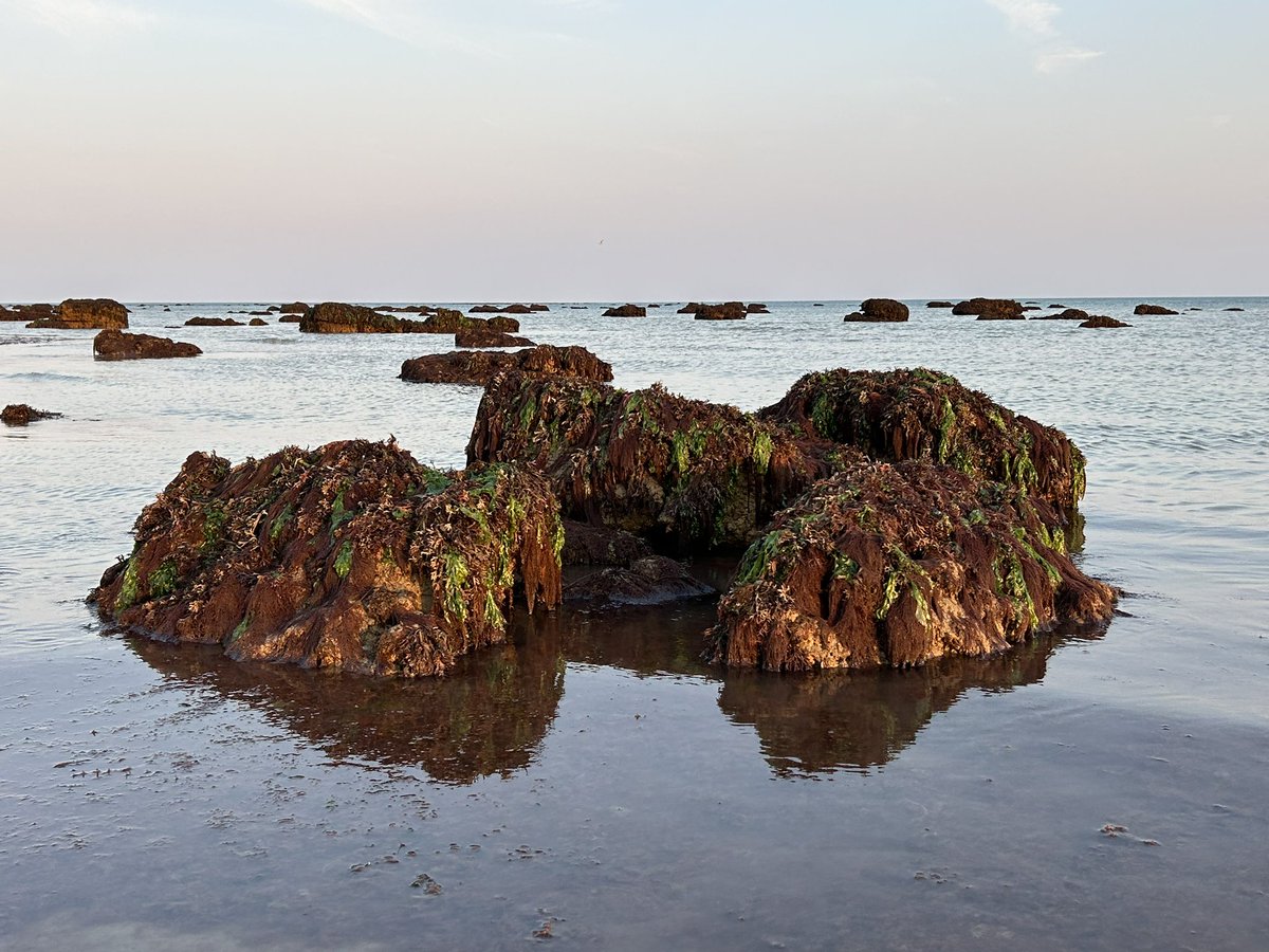 Mandy_Spring's tweet image. So lucky to have another day on the beach in September and sitting outside this evening. #Aldwick #Felpham