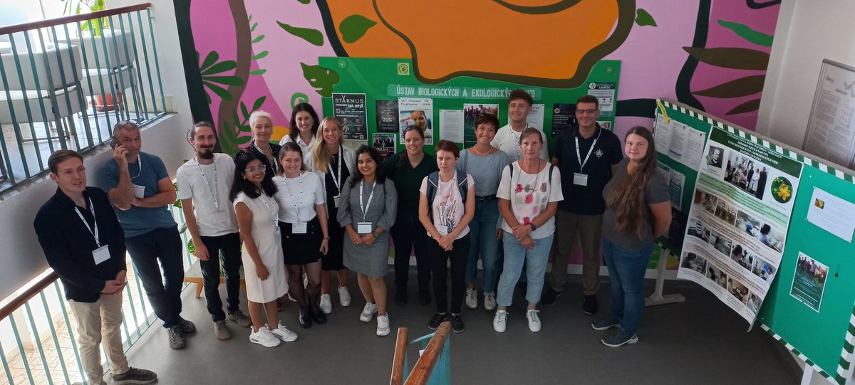 Cell and Tissue Toxicology tweet media