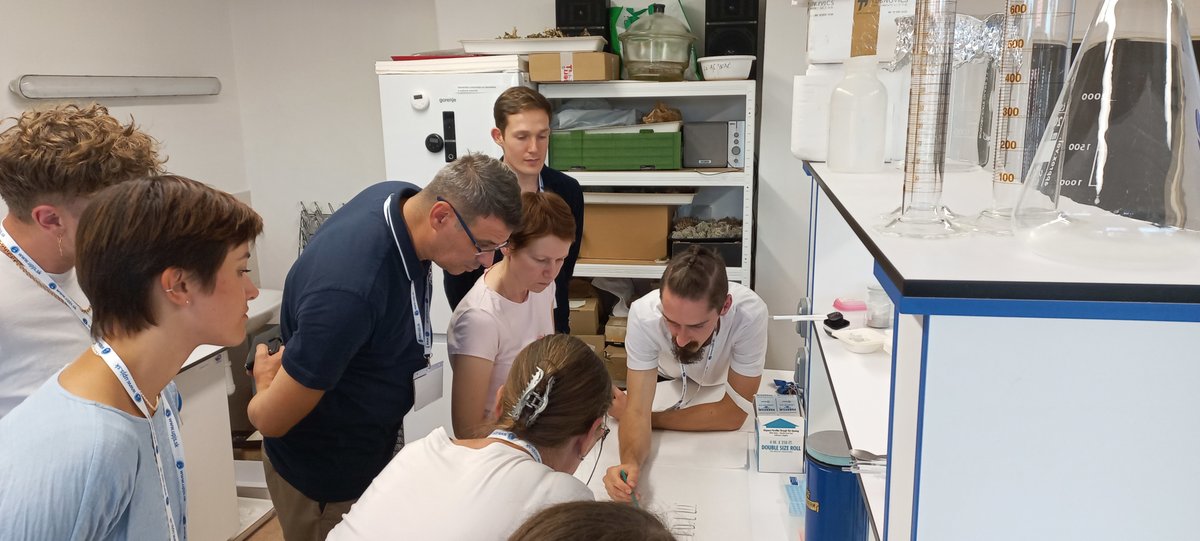 Cell and Tissue Toxicology tweet media