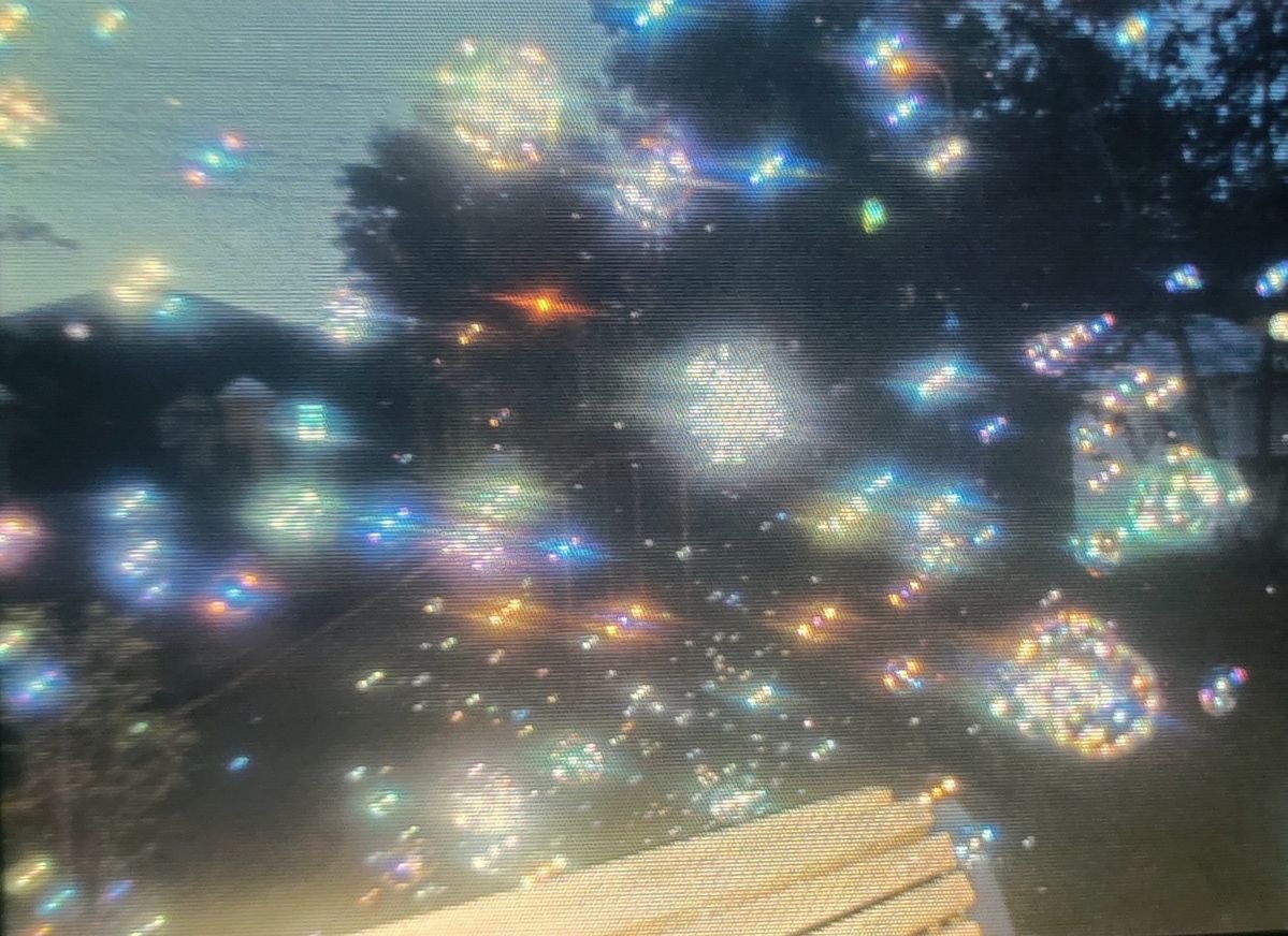 ˚˖ sunlightഒ °. tweet media