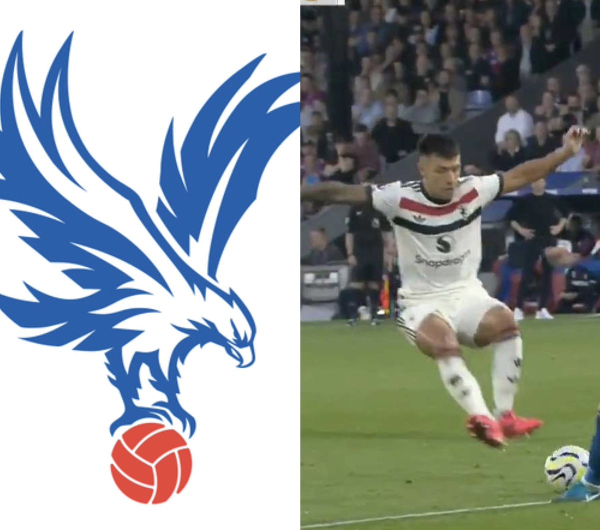 HolmesdaleChina's tweet image. Bro want to be an eagle @LisandrMartinez #CPFC