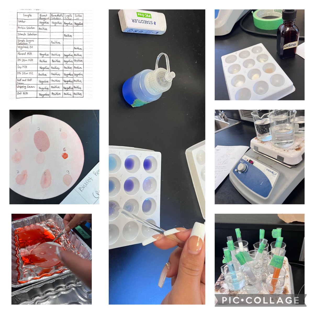 Jason Bradshaw 🇨🇦🇧🇧 tweet media