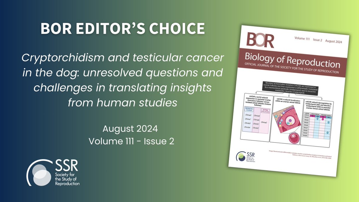 🚨 August BOR Editor's Choice! Read this insightful review by Sandra Soto-Heras + colleagues, diving into the relationship between cryptorchidism + testicular cancer in dogs. 👉 brnw.ch/21wMYCJ