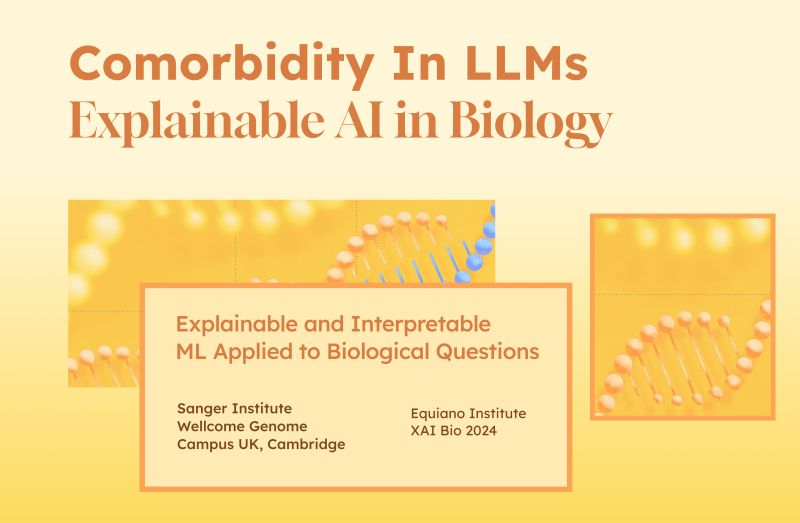 EquianoAI's tweet photo. We will be presenting on biologically explainable comorbidities in LLMs at the Explainable AI in Biology Conference 2024. We explore how LLMs can be exhibit biologically explainable outputs for comorbidities—conditions where patients experience two or more diseases simultaneously https://t.co/7aeOfu78cO