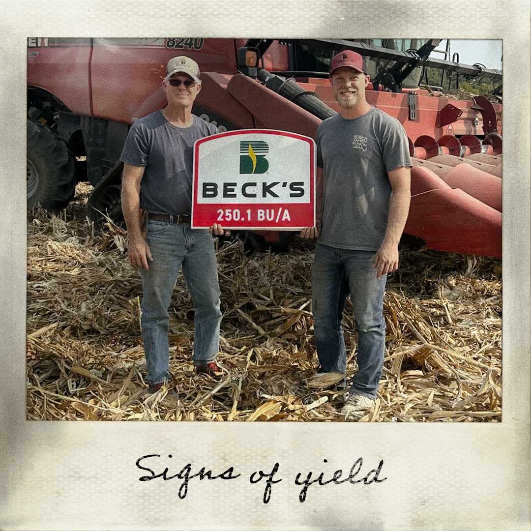 Beck's Hybrids tweet media