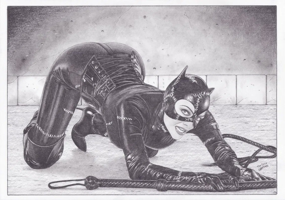 iamluke85's tweet photo. #catwoman artwork by #timgrayson https://t.co/VC37zt4hFJ