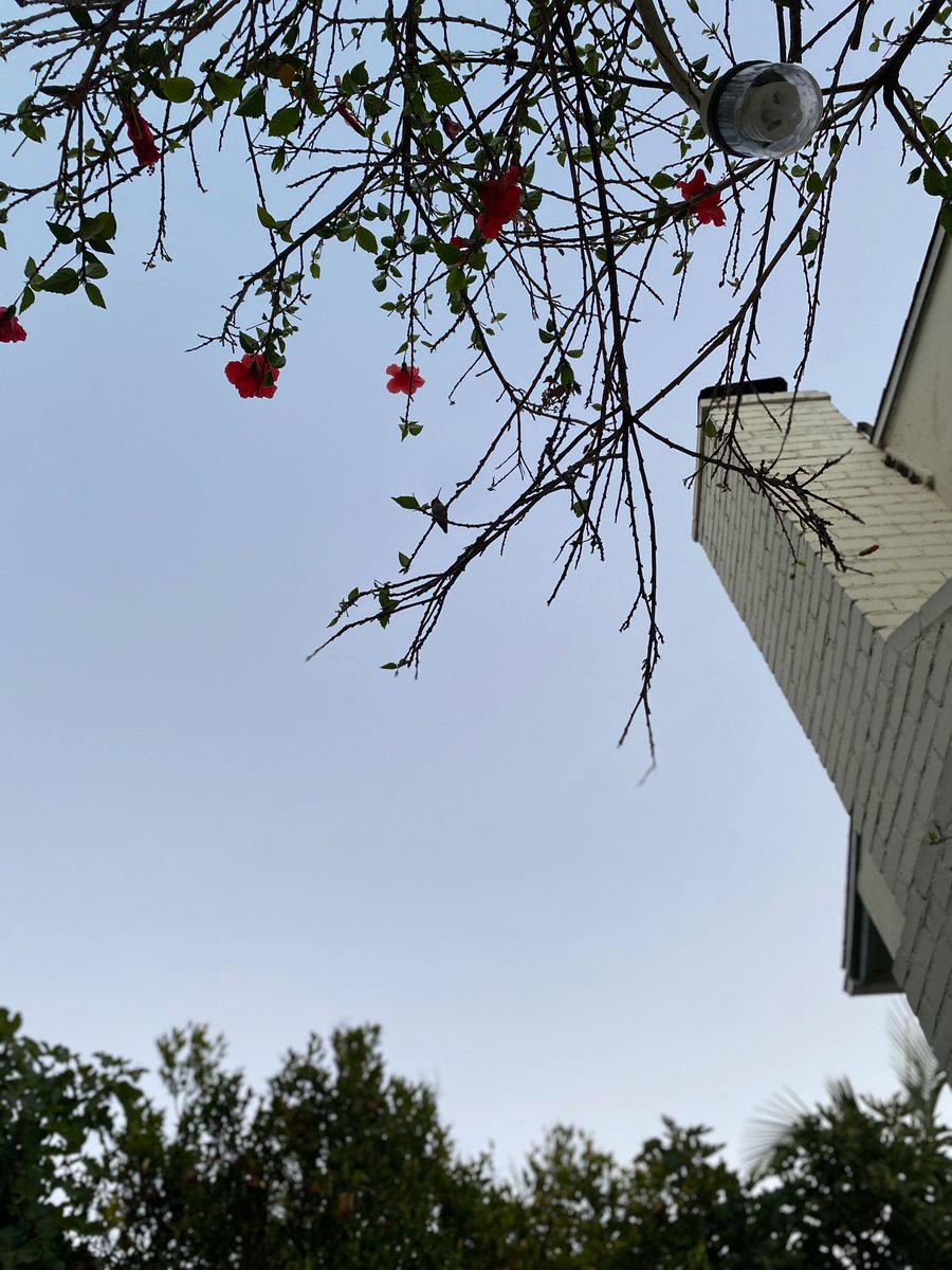 Lew Temple Black And White